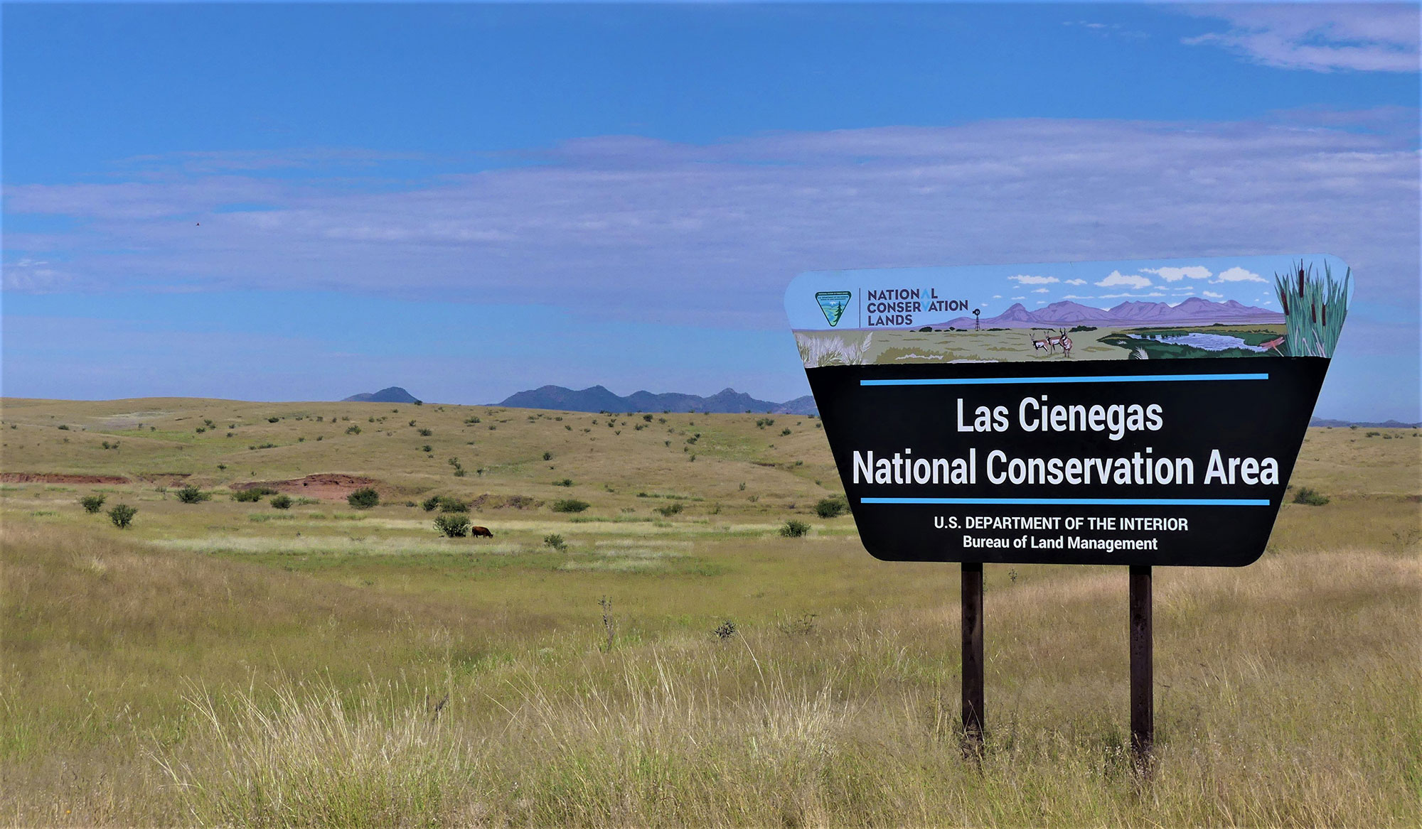 Explore Las Cienegas National Conservation Area